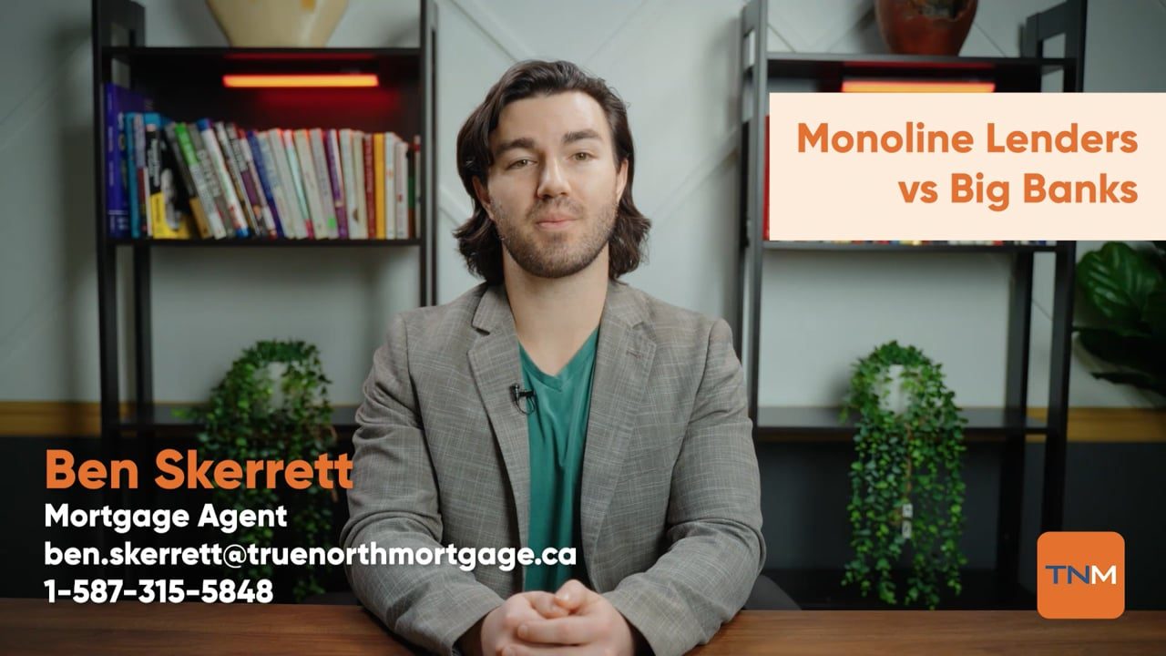 Monoline Lenders vs Big Banks