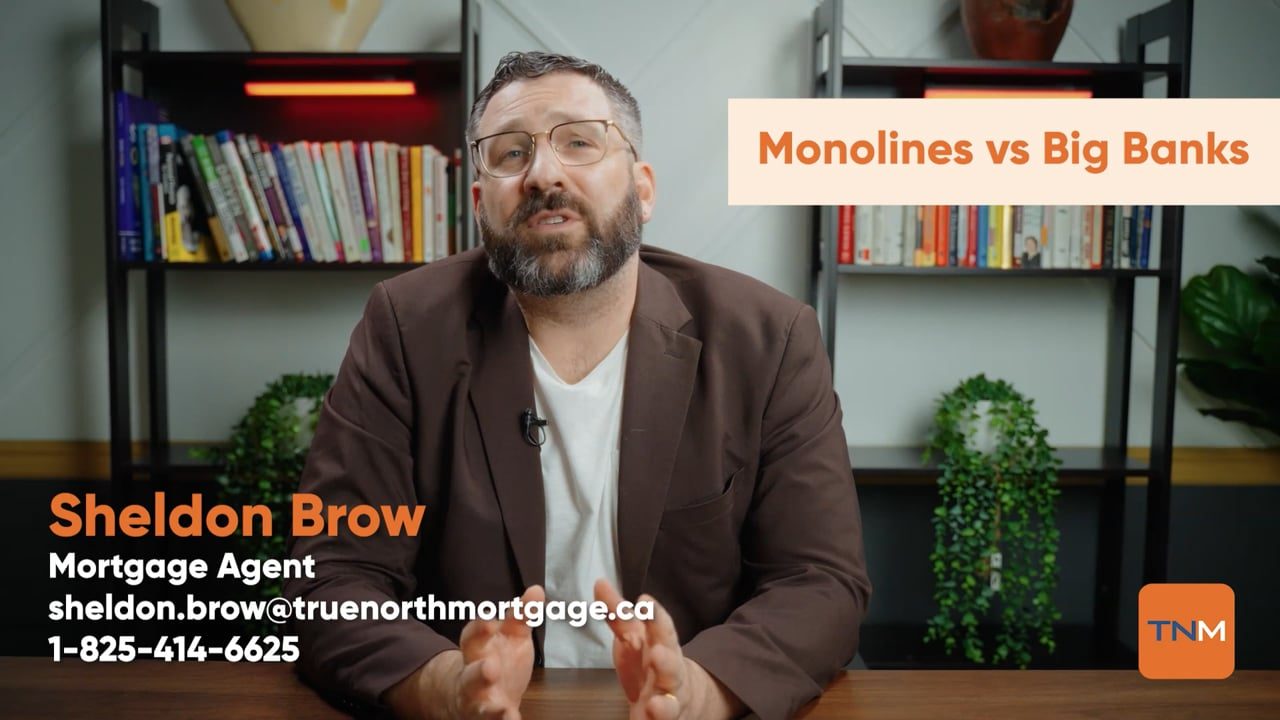 Monolines vs Big Banks